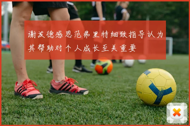 谢泼德感恩范弗里特细致指导认为其帮助对个人成长至关重要